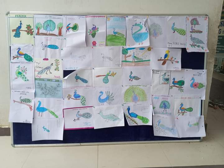 Global Perspective Image